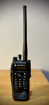 Radiotelefon MOTOROLA DP3601