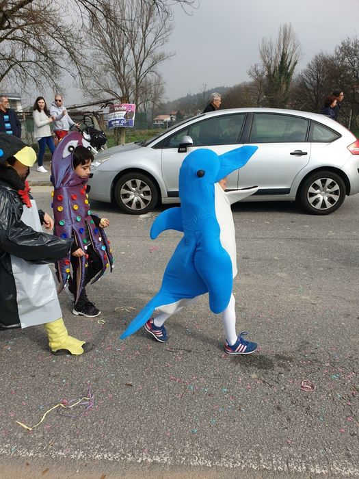 Golfinho - Fato Fantasia