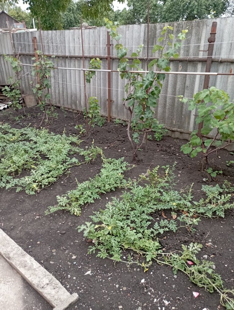Продам 1/2 дома возле стадиона