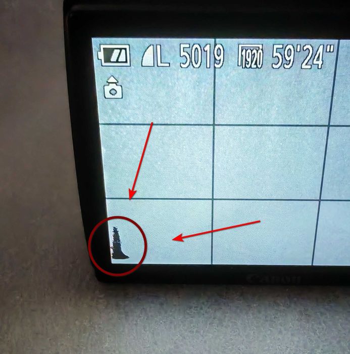 Цифровой фотоаппарат Canon IXUS 230 HS с нюансом