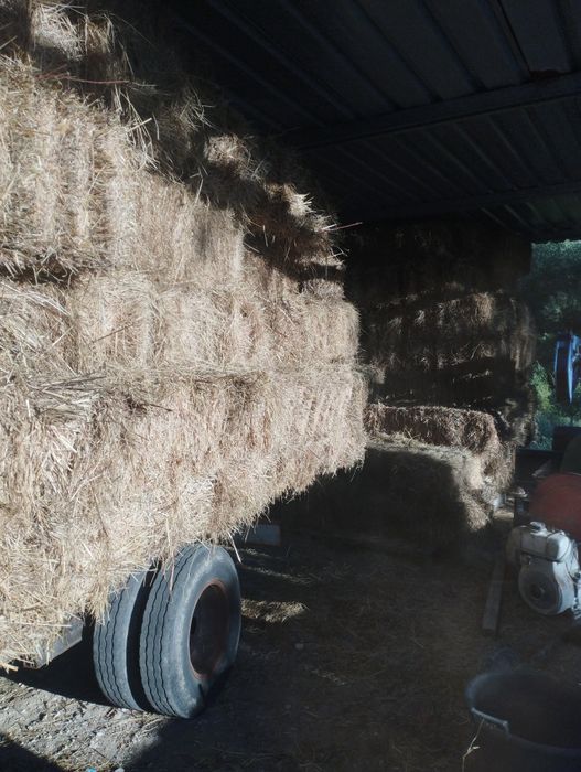 Fardos Palha feno