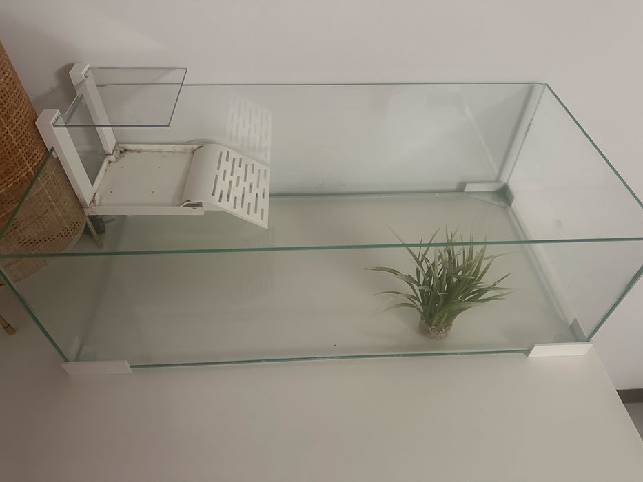 Aquário para tartarugas