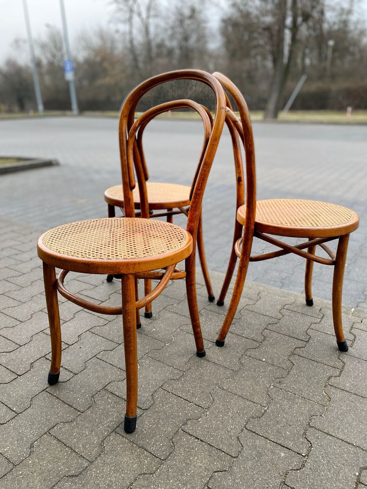 Zestaw kultowych krzeseł w stylu Thonet