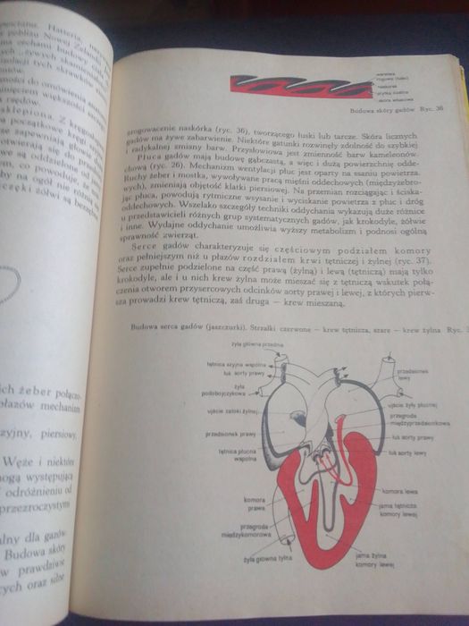Biologia, klasa 3 L.O.A. Jasiński i inni