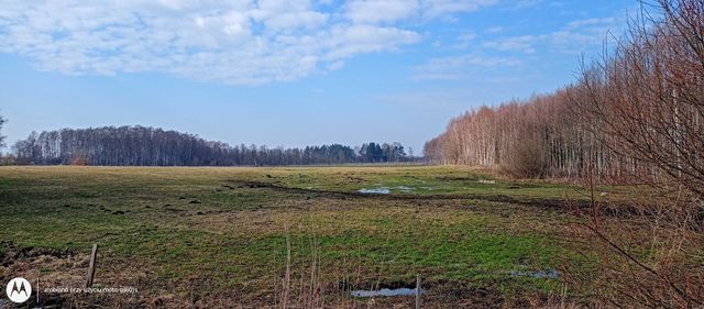 Działka Rolna o powierzchni 2.1 Hektara ( Łąka)