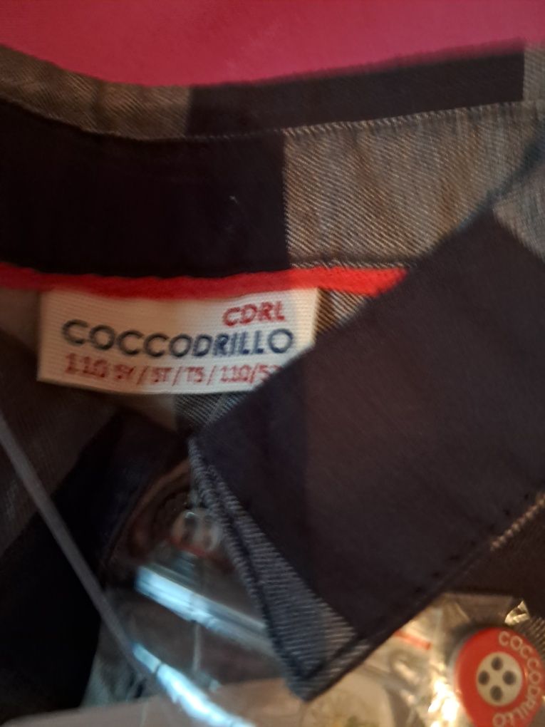 Zestaw spodnie elastyczne koszula Coccodrillo r. 110