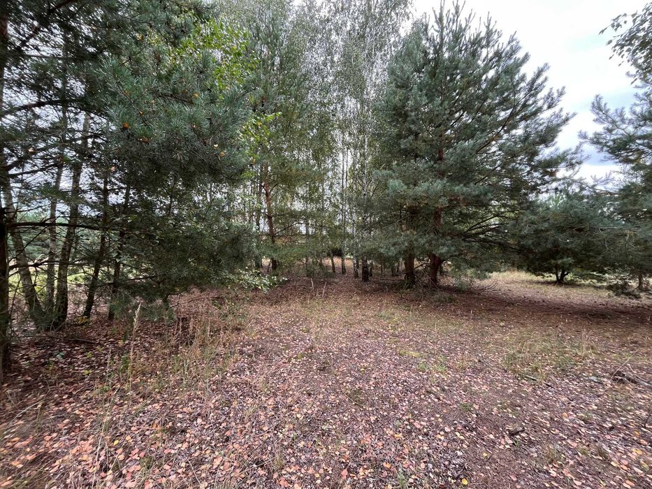 Działka letniskowa budowlana piękna z potencjałem 1512 m2