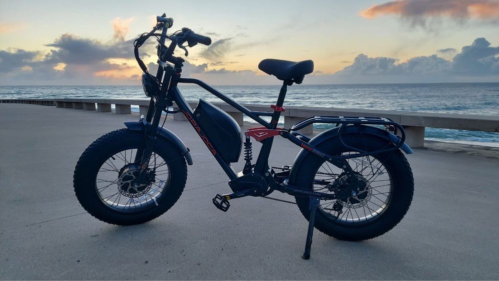 eAhora terra 2 (dual motor) bicicleta elétrica