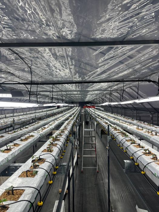 Технологічне тепличне господарство