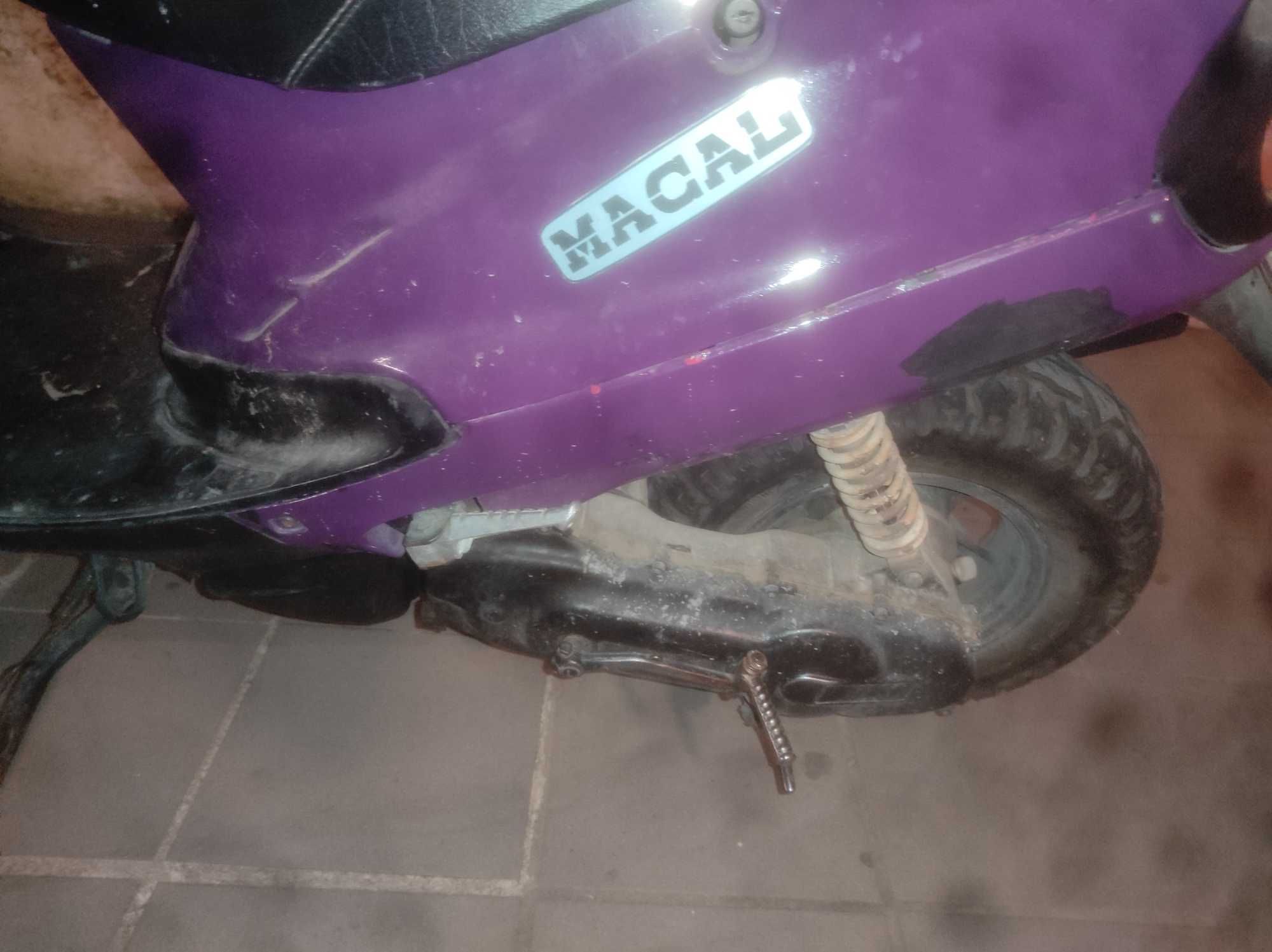 Macal thunder para venda