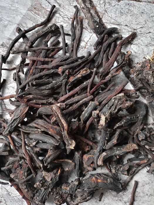 Korzeń żywokostu lekarskiego