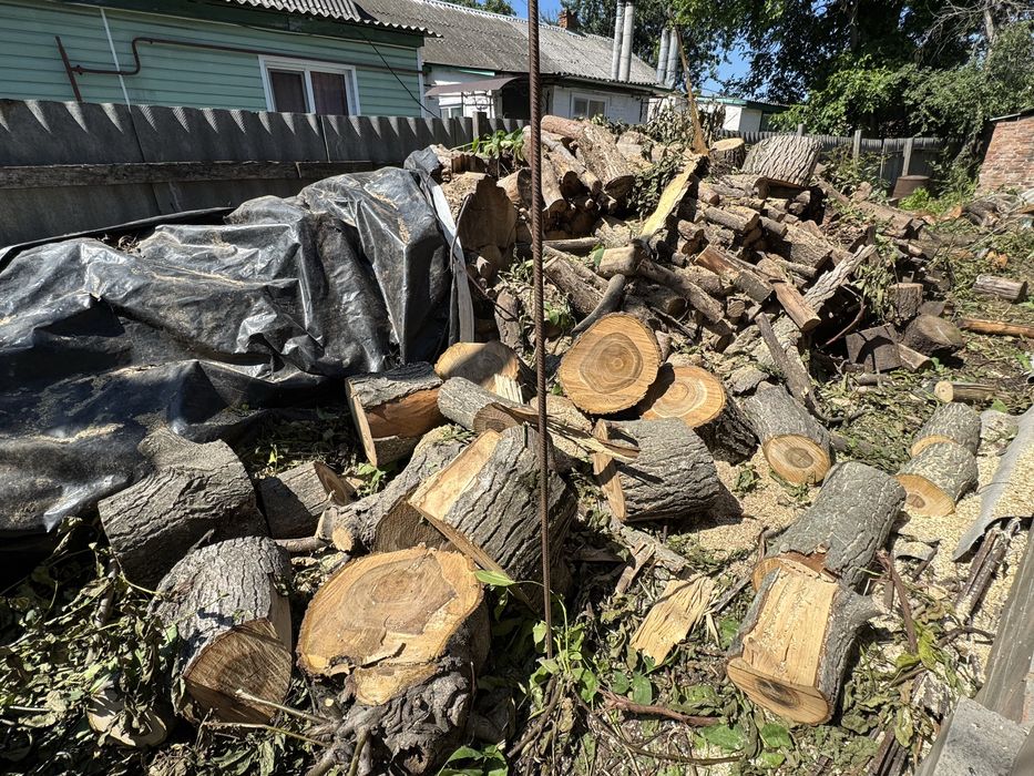 продам дрова самовывоз
