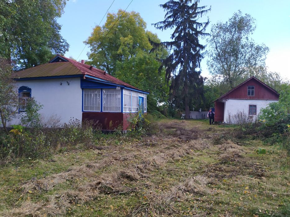 Будинок з ділянкою 100 соток