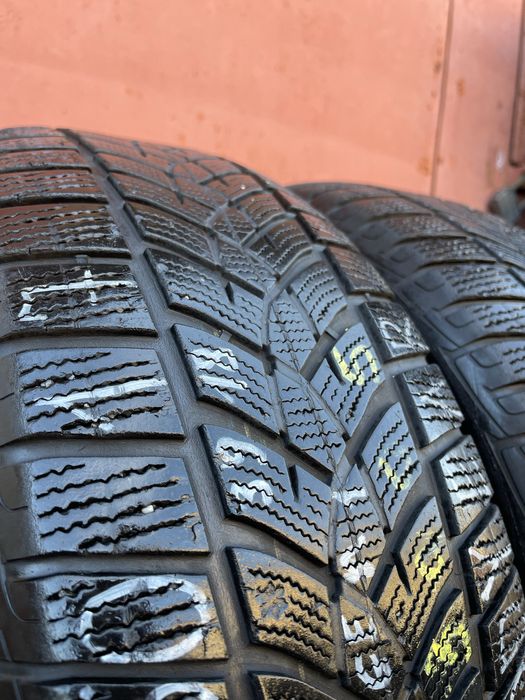 Шини 225/65 r17 Dunlop Winter Sport 5