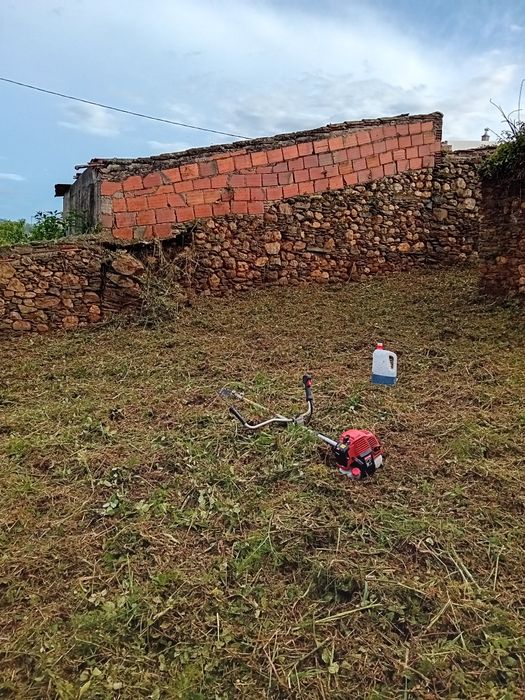 Limpezas de terrenos e podas de árvores
