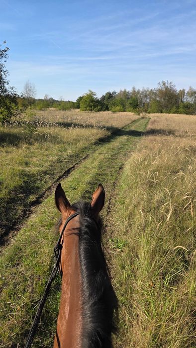Nauka jazdy konnej indywidualne