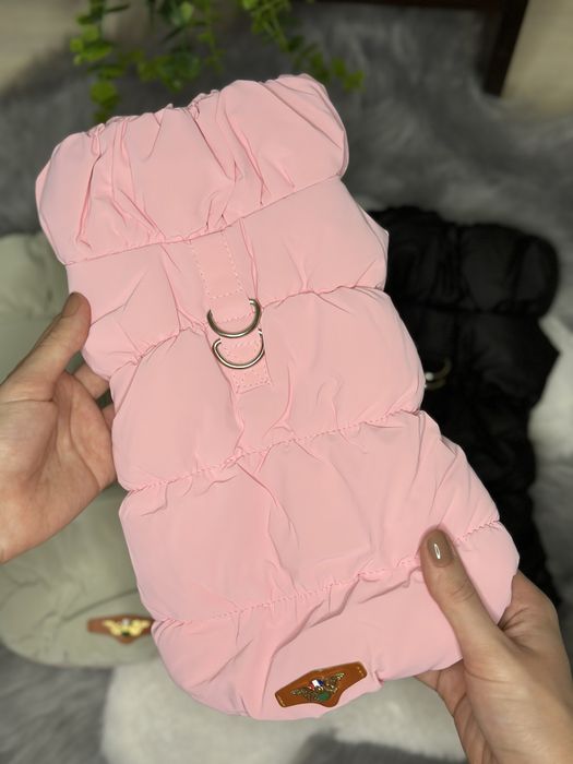 Одяг для собак