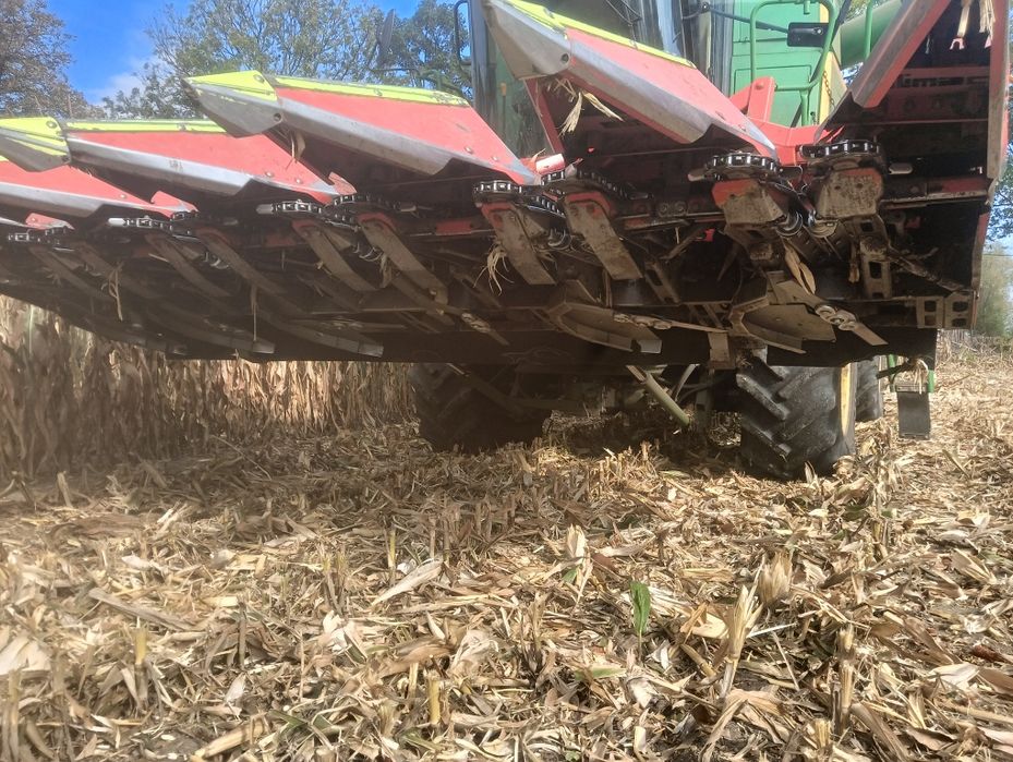 Przystawka kukurydzy OLIMAC Drago 6 rzedow 5 Capello geringhoff claas