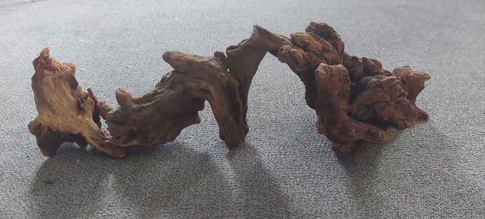 3 Korzenie do akwarium