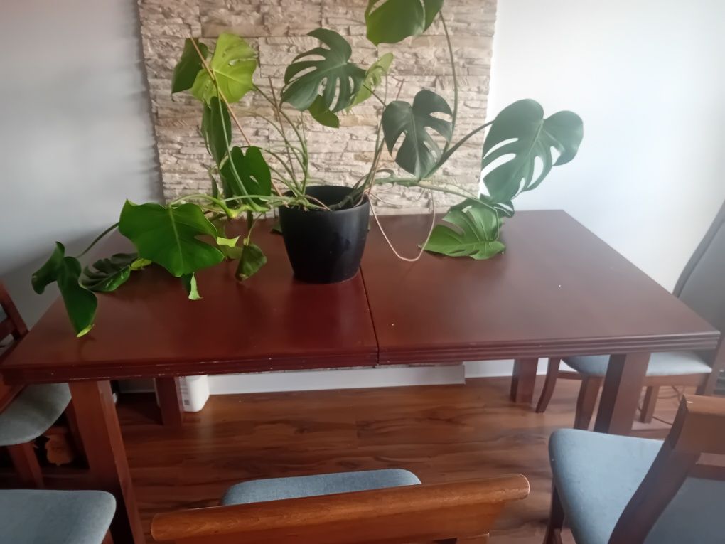Stół drewniany  rozkladany +6 krzeseł