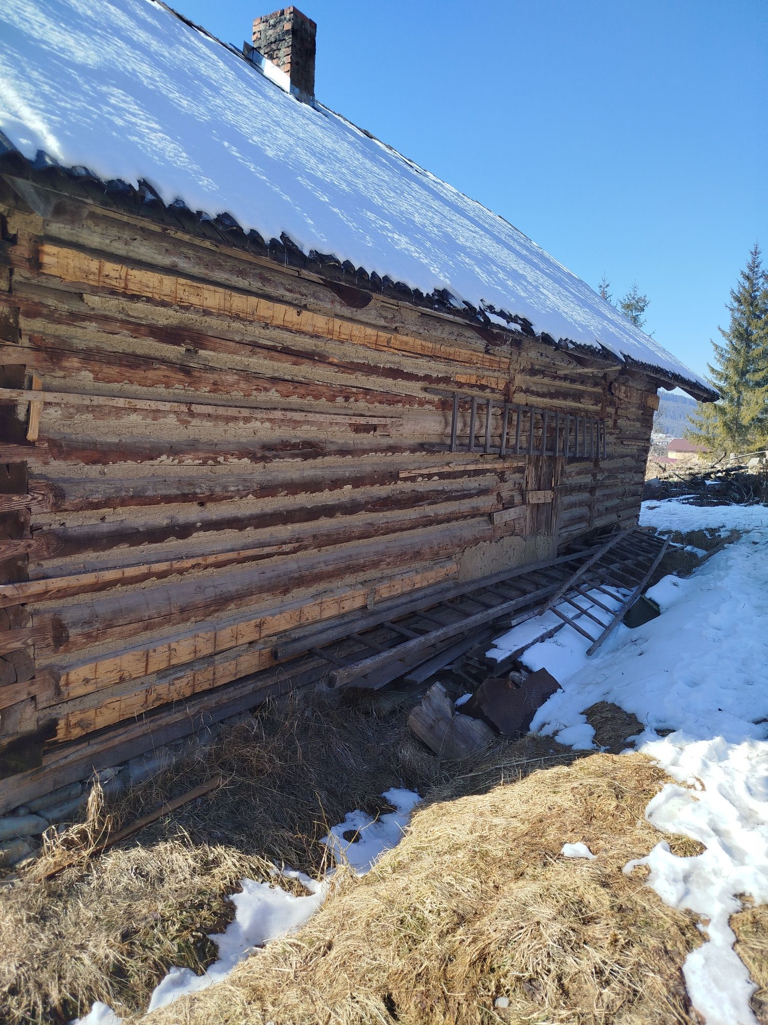 Будинок і земля в Карпатах, гори, ліс, струмок