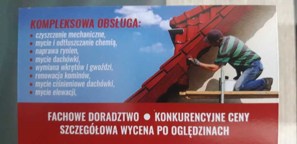 Malowanie i Mycie Dachów