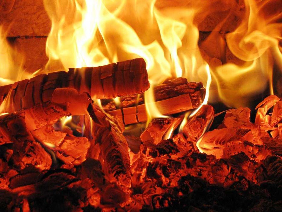 Дрова сухие  ОПТ  доставка с первых рук