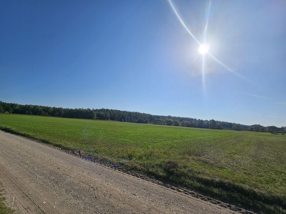 Sprzedam działkę( złożony wniosek o warunki zabudowy)