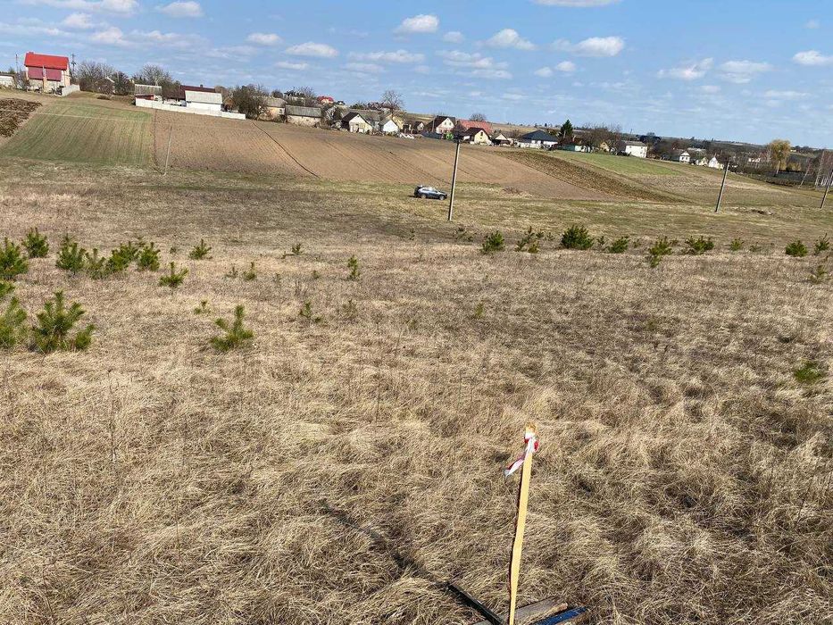 Терміново продам ділянку в Житині