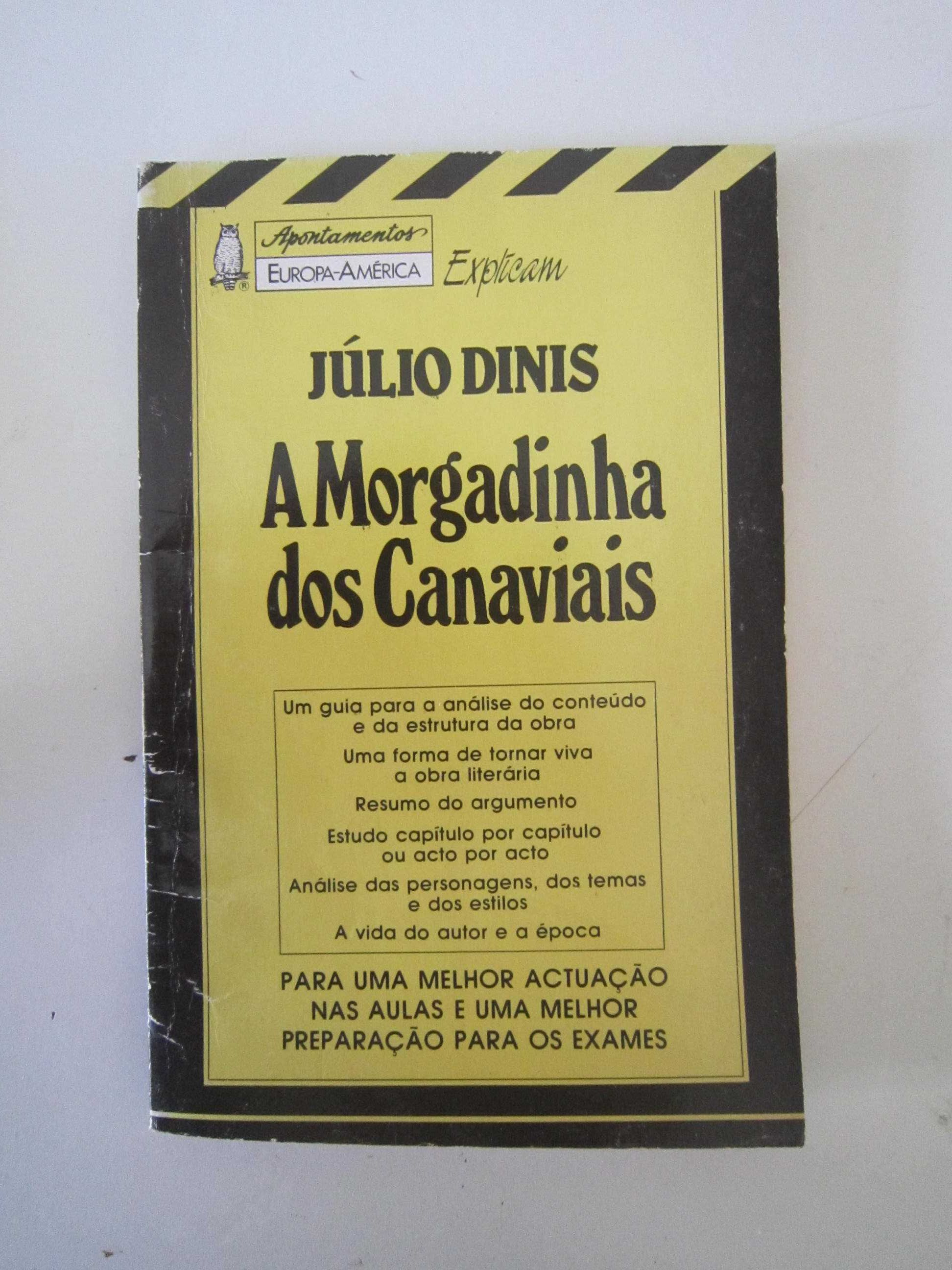 Livro de resumo "A Morgadinha dos Canaviais"