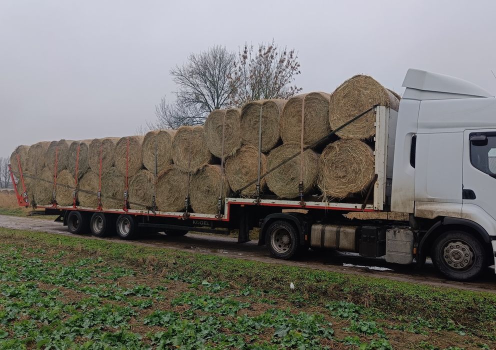 Siano suche z transportem