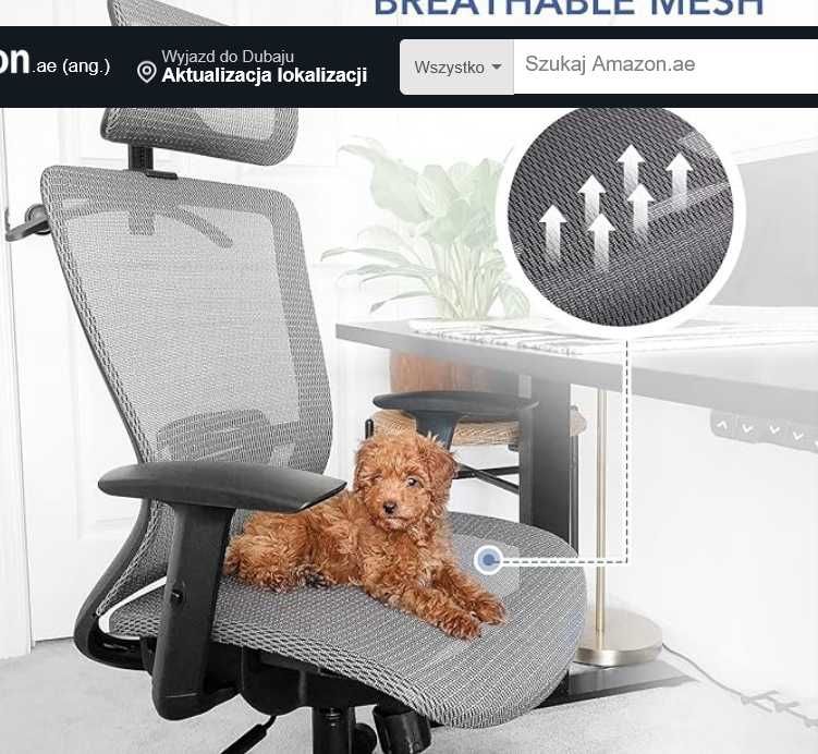 FLEXISPOT OC3B Ergonomiczny Executive  Biuro Krzesło