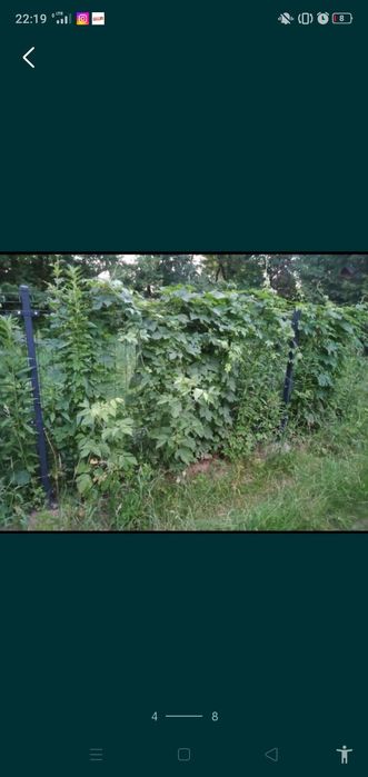 Odstąpienie działki ROD