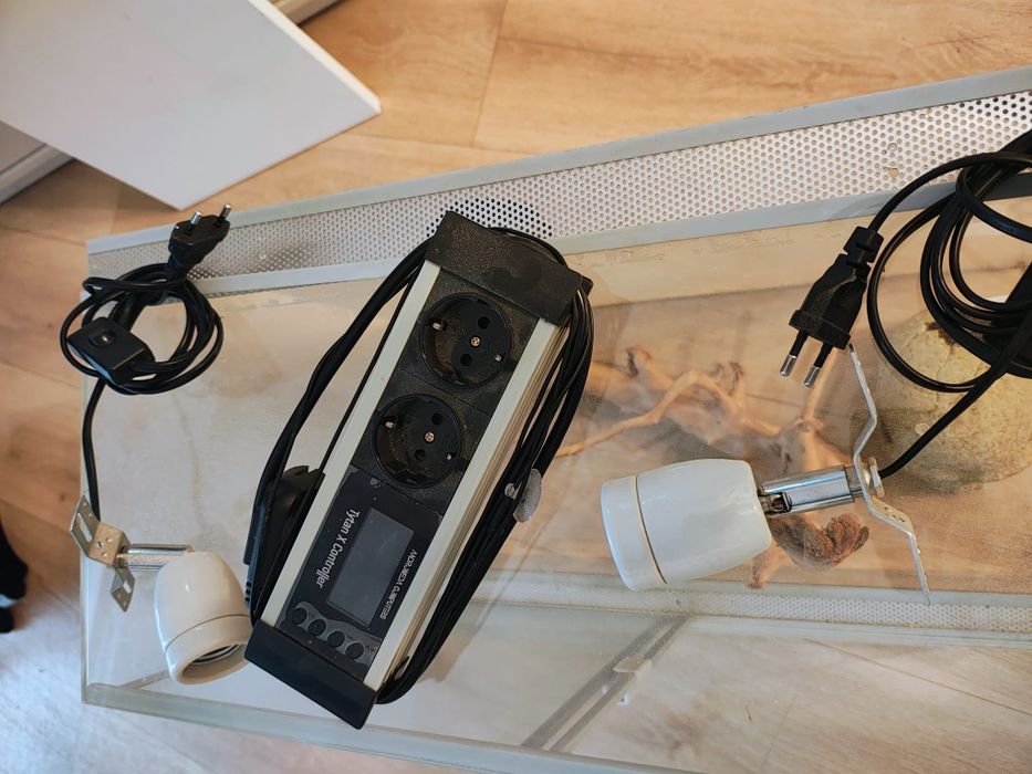 Terrarium dla gekona