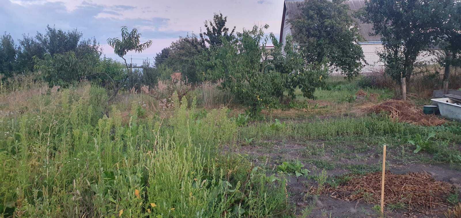Продам будинок в центрі села