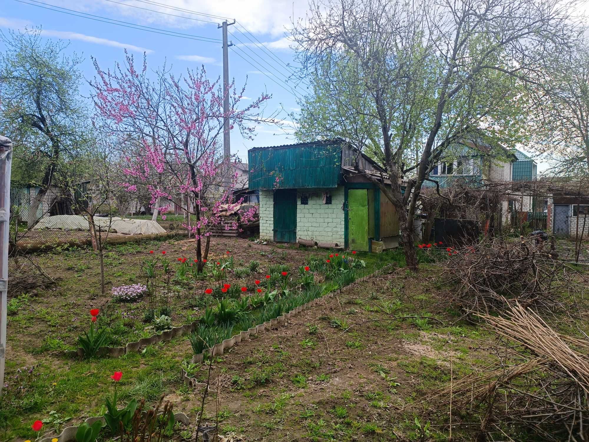 Дача в СО "Октябрьское" в районе ЗАЗ (С1)