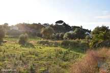 Terreno em Areias e Pias de 640,00 m2