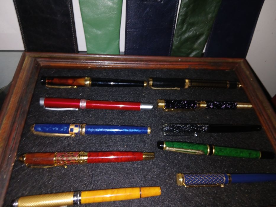 Canetas novas com bolsa pele 12 € cada