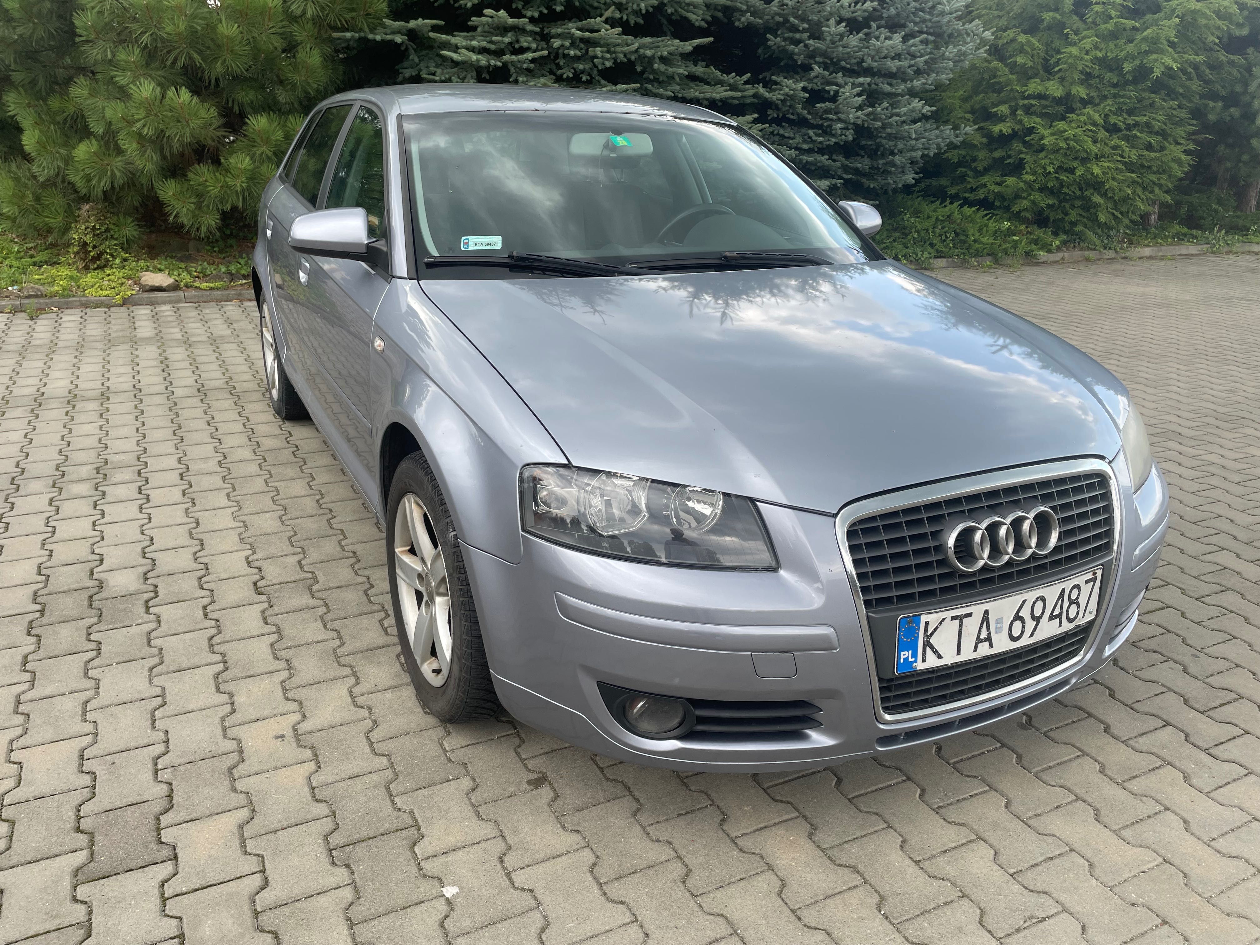 Audi A3 8P 2005 r 1.9 TDI