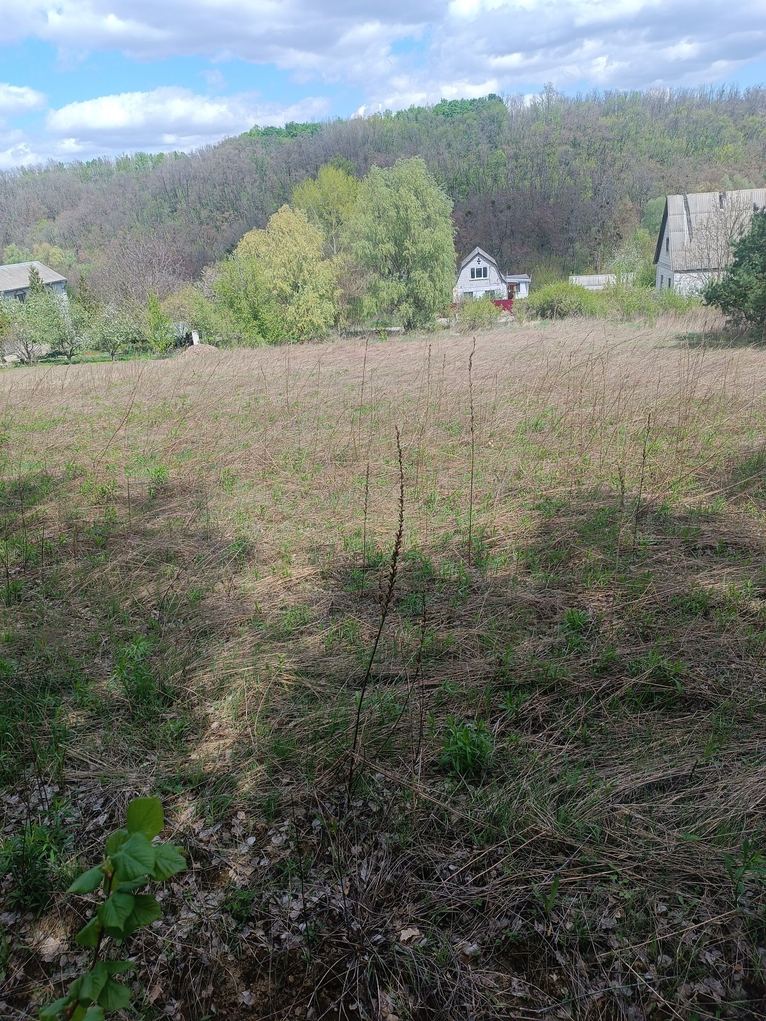 Продам Участок халеп'я