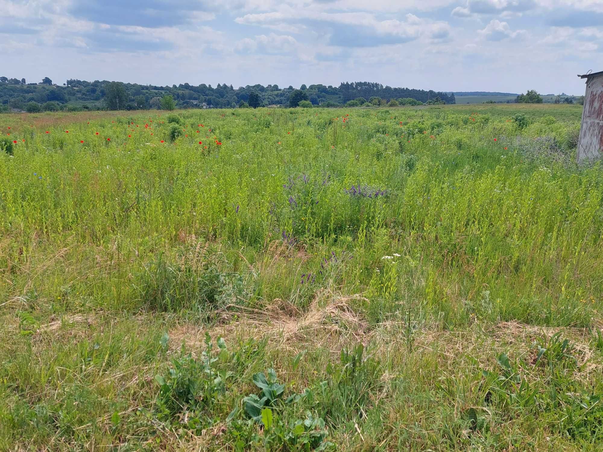 Продам ділянку під забудову 35 сот, асфальтований доїзд