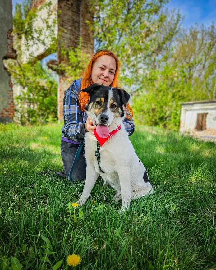 Przekochany, otwarty, absolutnie proludzki młodziak do adopcji!