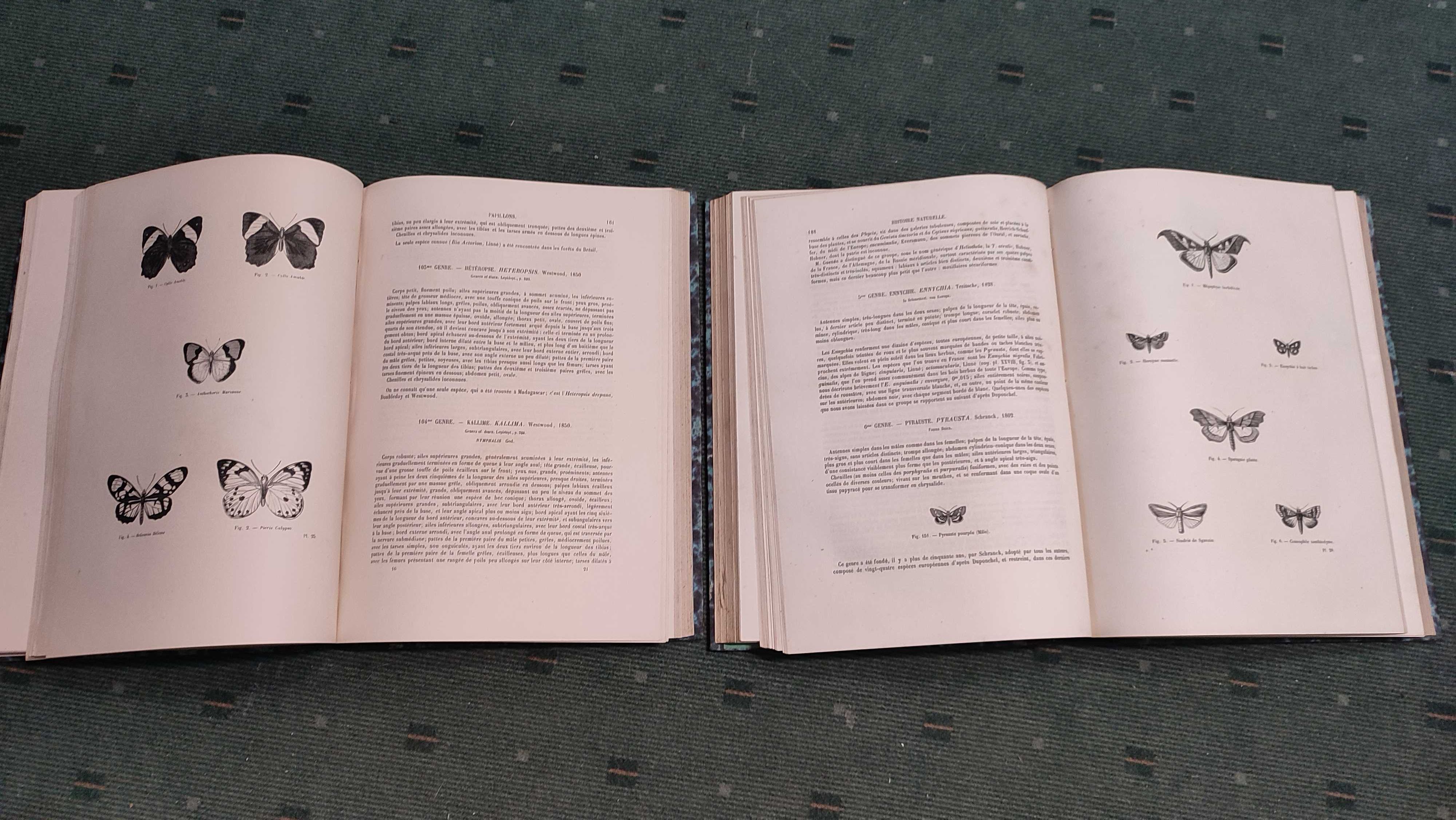 Encyclopédie D'Histoire Naturelle Traité Complet -Papillons - 2 Vol