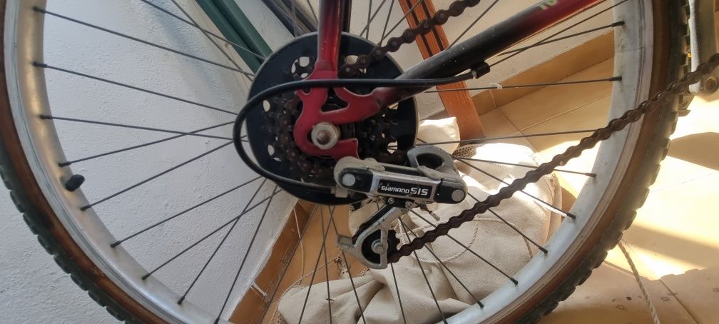 Bicicleta Cattalina