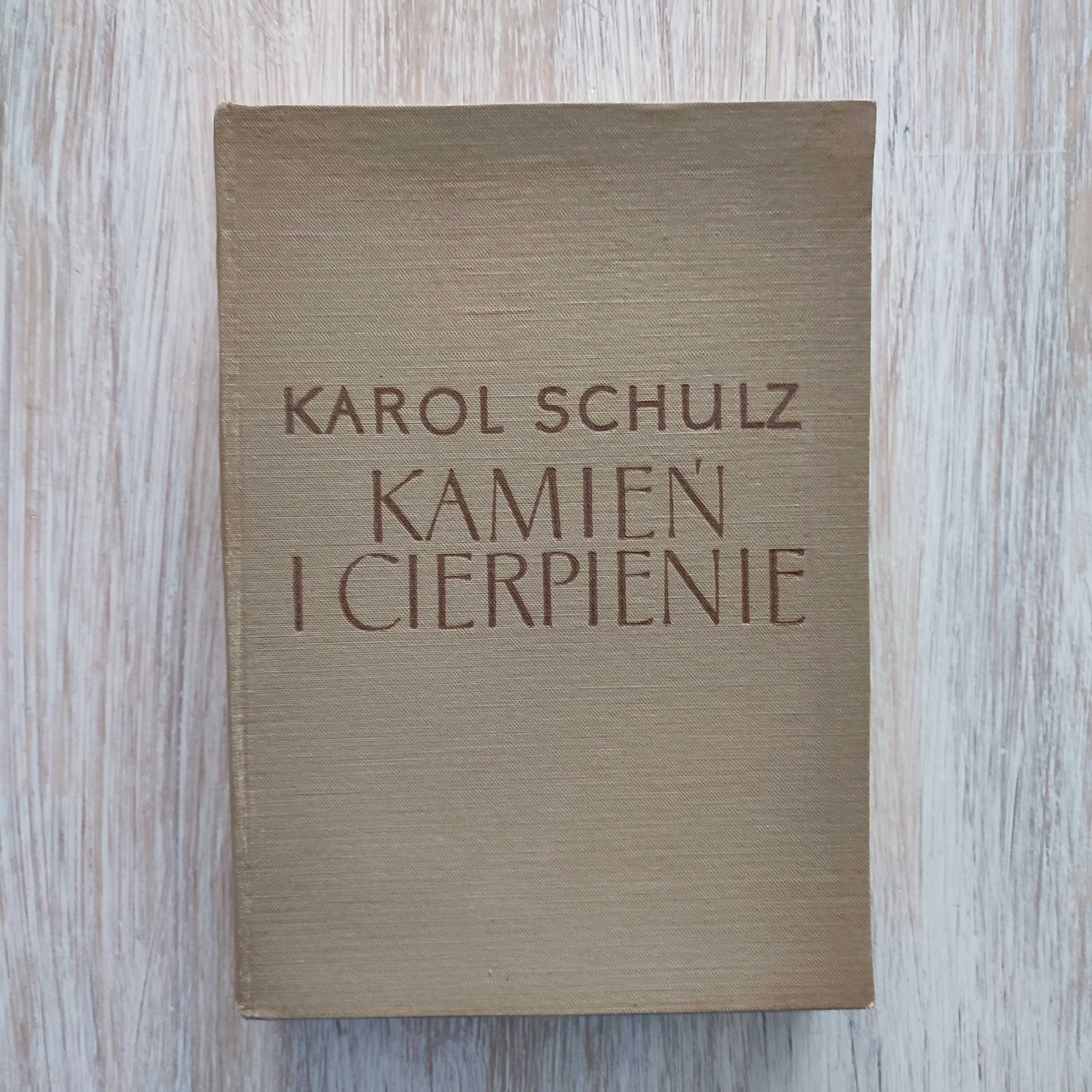 Kamień i cierpienie - Karol Schulz