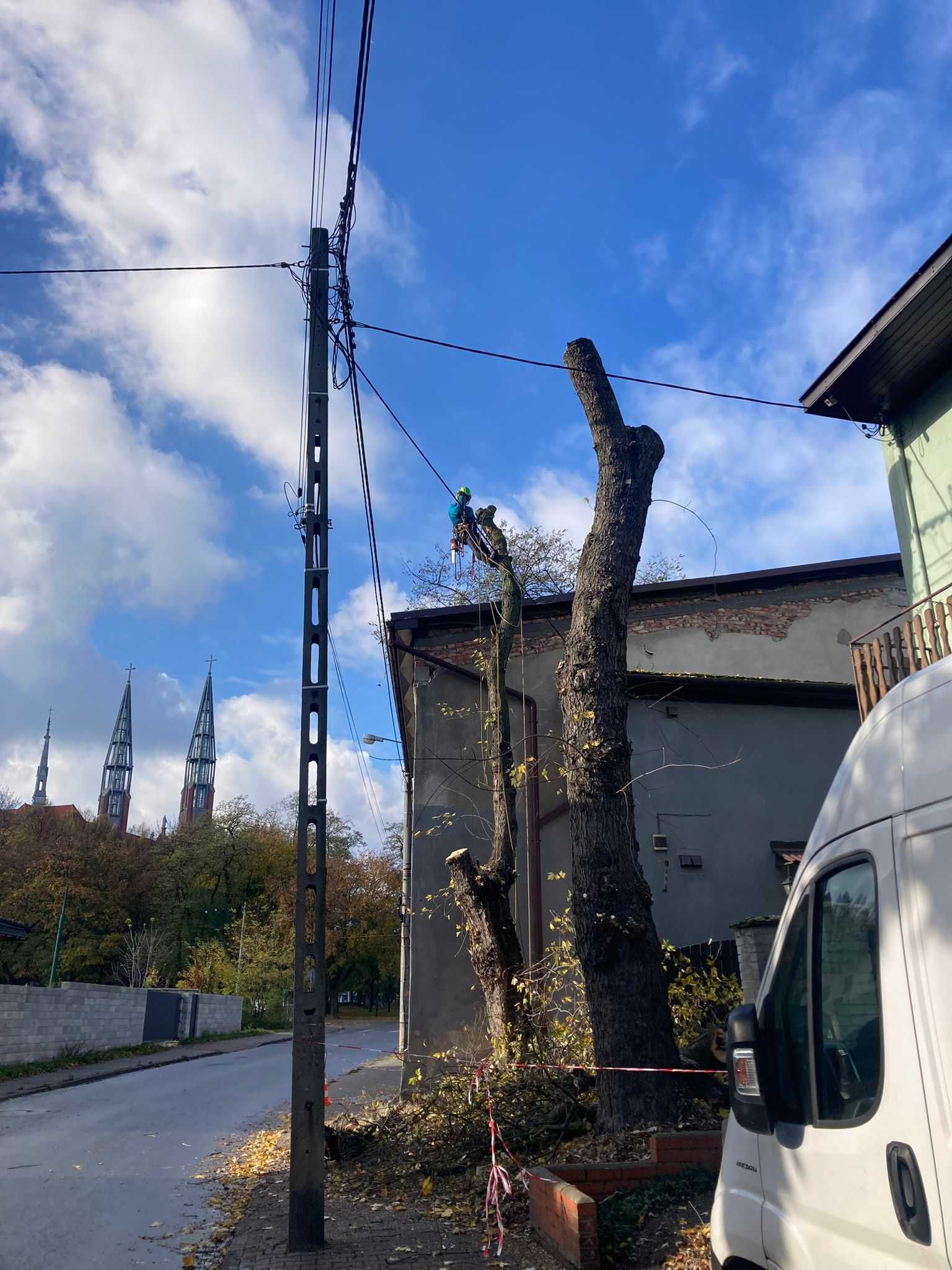 wycinka drzew, pielęgnacja drzew, utylizacja, frezowanie pni, CAŁY ROK