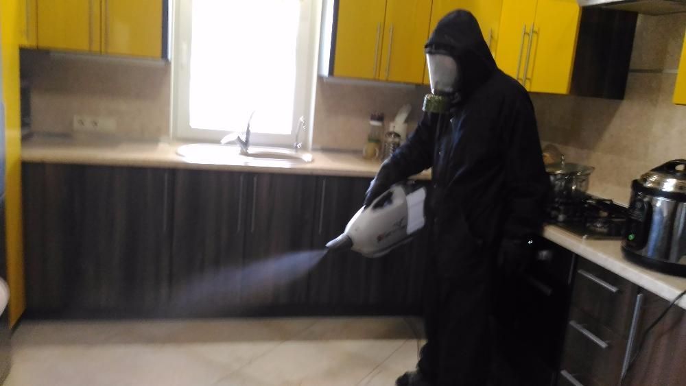 Уничтожаем  вредных насекомых и грызунов / блохи, тараканы, клопы, осы