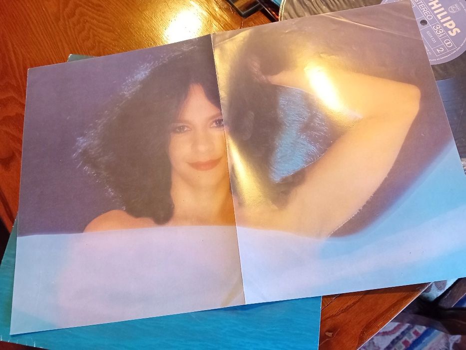 LP da Gal Costa  com o titulo Minha Voz. Está  em perfeito estado.