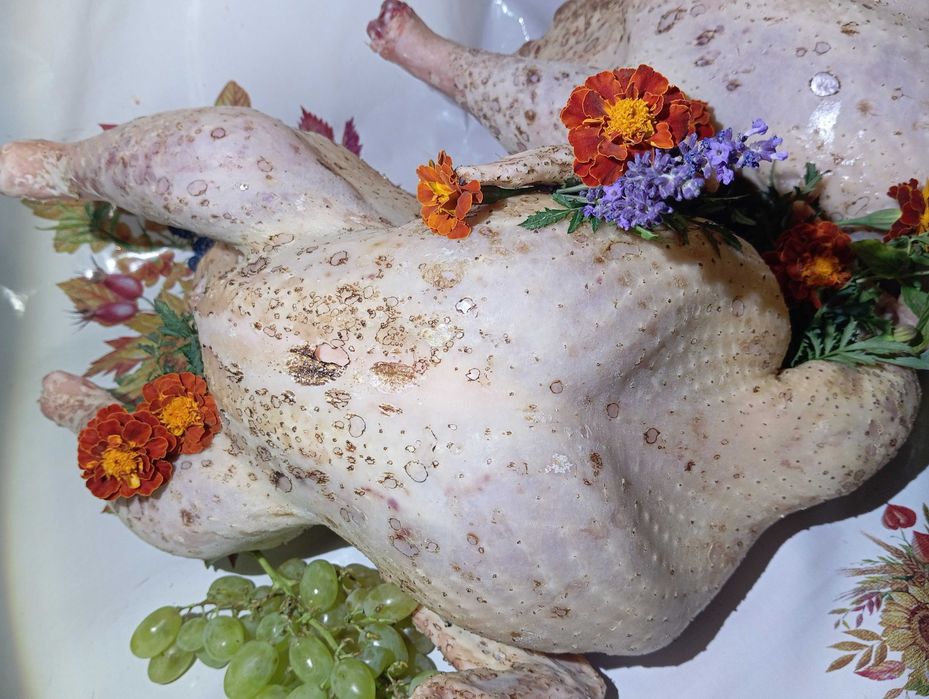 Продам. Тушки індика, індокачок ціна договірна.