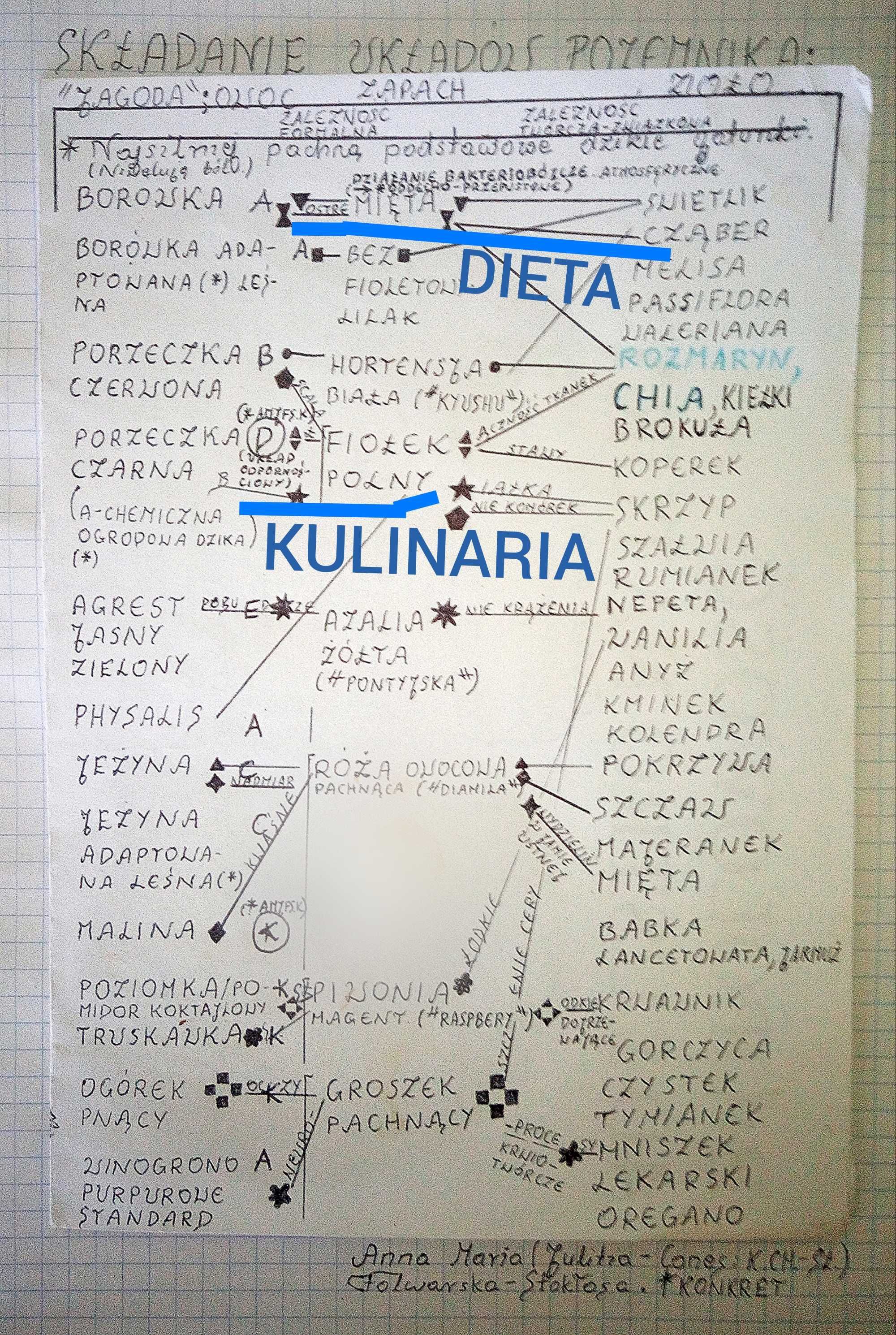 OgROaRrIuM WIELOKRZAK3 ekosystem
